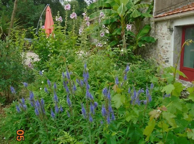 Les Trois Etangs Saint-Viaud