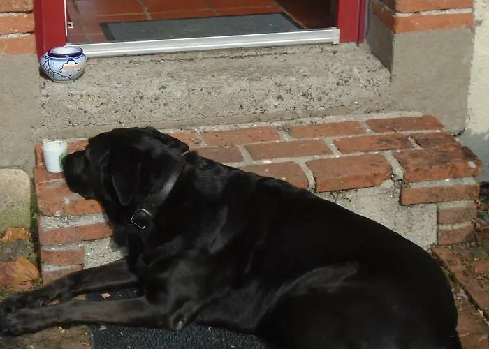 Frühstückspension Les Trois Etangs *