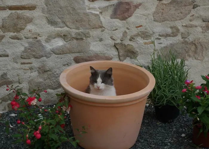 Frühstückspension Les Trois Etangs